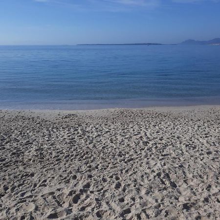 Le Palais Du Tropique Appartement Vue Mer 5E Etage Avec Ascenseur Juan-les-Pins Eksteriør bilde