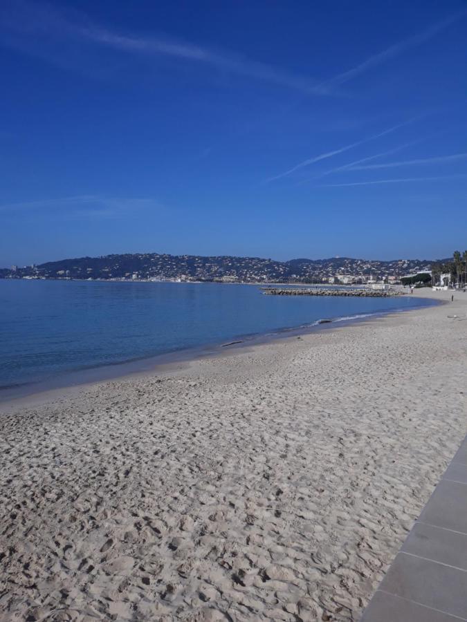 Le Palais Du Tropique Appartement Vue Mer 5E Etage Avec Ascenseur Juan-les-Pins Eksteriør bilde