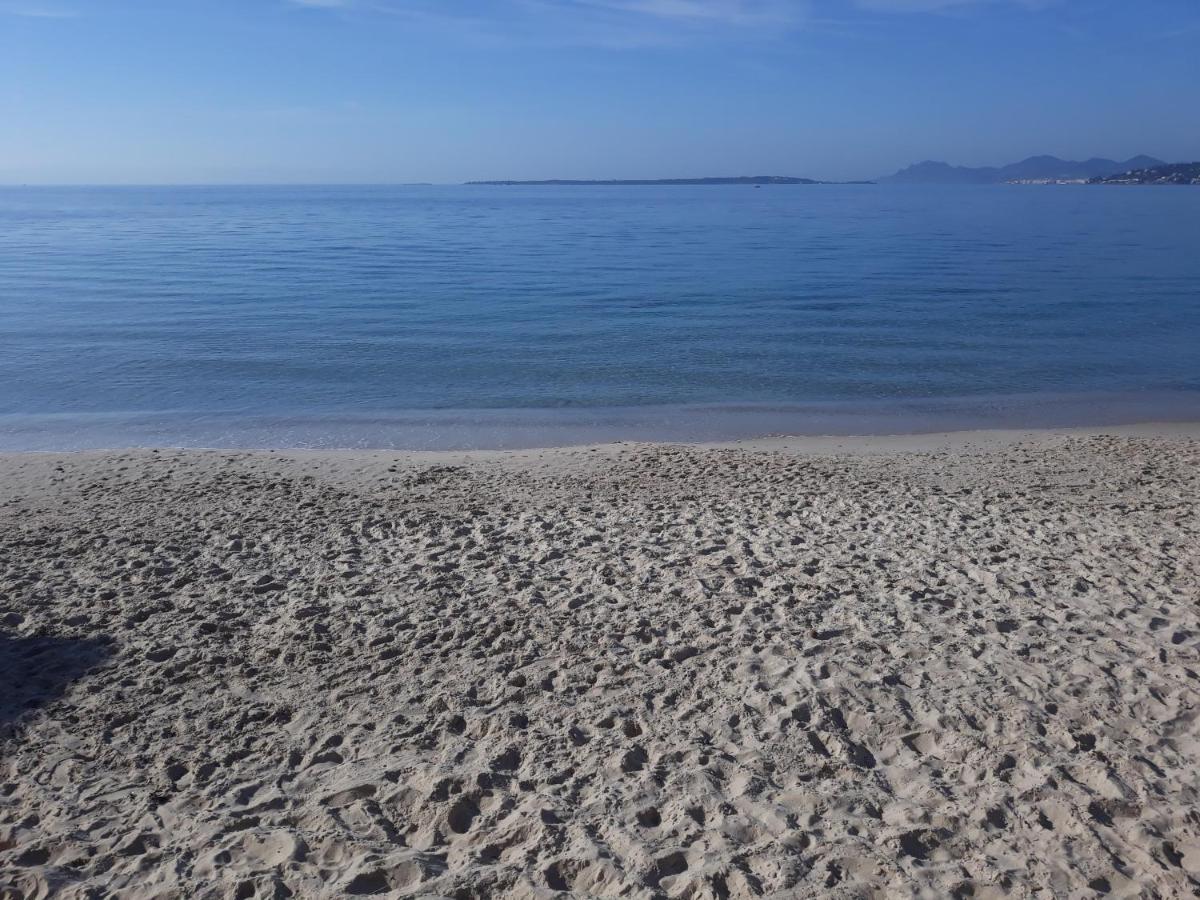 Le Palais Du Tropique Appartement Vue Mer 5E Etage Avec Ascenseur Juan-les-Pins Eksteriør bilde