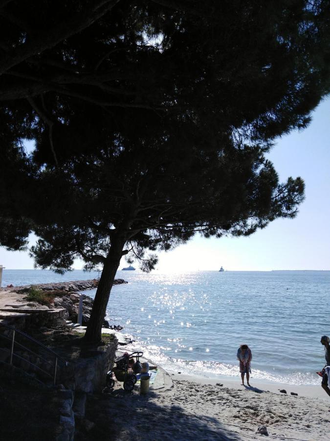 Le Palais Du Tropique Appartement Vue Mer 5E Etage Avec Ascenseur Juan-les-Pins Eksteriør bilde