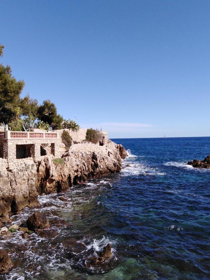 Le Palais Du Tropique Appartement Vue Mer 5E Etage Avec Ascenseur Juan-les-Pins Eksteriør bilde